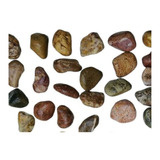 Piedra Decorativa Para Macetas Jardín Y Tierra De 10cm 5 Kl