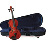 Violin Cervini 4/4 Modelo Hv-100 Garantia / Abregoaudio