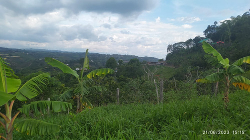 Venta Gran Oferta Finca Via Altagracia Pereira