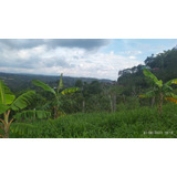 Venta Gran Oferta Finca Via Altagracia Pereira