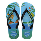 Havaianas Top Postcard Fernando De Noronha (cartão Postal)