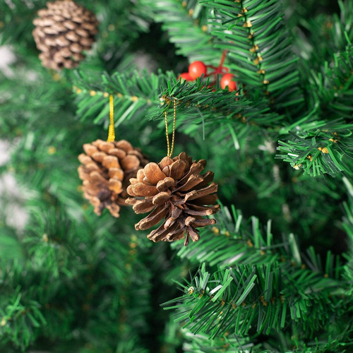 Conos De Pino Ballena Natural, Piñas Rústicas Navideñas A Gr