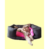 Cama Para Perro Con Almohadon Talla L Razas Medianas Lavable