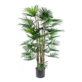 Árbol Artificial Grande, Palmera Abanico 120cm