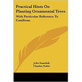 Practical Hints On Planting Ornamental Trees With Particular