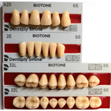 Dente Biotone / Dentron Boca De 28 A25/2e/32l/32l Cor 66