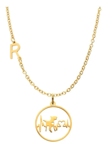 Collar Bull Terrier Perrito Ecg Dije Letras Inicial Acero