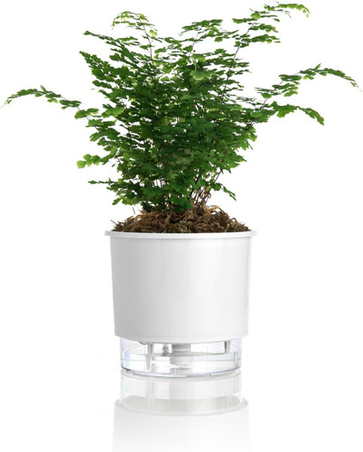 Vaso P/ Plantas Autoirrigável Jardim Tamanho Pequeno 12x11