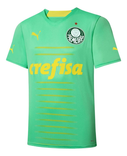 Camisa Puma Palmeiras Ill 2022