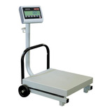 Báscula Industrial Digital Torrey Fs 500kg Con Mástil 110v/220v Blanco 54 cm X 50 cm