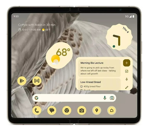 Celular Pixel Fold 5g 12gb 256gb Tensor G2 Carga Inversa Inalámbrica Negro