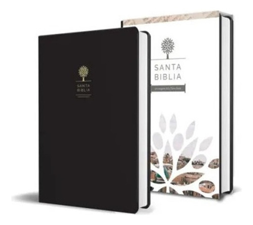 Biblia Rv1960 L Grande Símil Piel Negro Manual