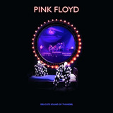 Cd Pink Floyd - Delicate Sound Of Thunder Sellado Obivinilos