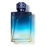 Perfume Masculino Magnat Imperium 90 Ml - mL a $777