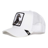 Gorra Goorin Baseball The Stallion Caballo Unisex 101-0393