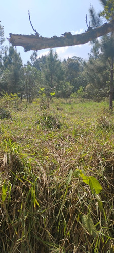 Terreno Bom E Barato - Imagen 4