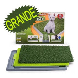 Tapete Entrenamiento Perros Potty Patch Grande + Regalo