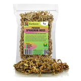 Musgo De Sphagnum De Nueva Zelanda Premium Por Gardenera - M