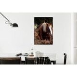 Vinilo Decorativo 30x45cm Caballo Campo Horse Vinil M4