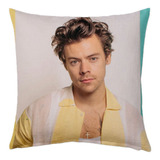 Harry Styles Cojin 40x40cm Almohada Fine Line 03