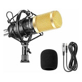 Microfono De Estudio Profesional De Radiodifusion Y Grabacio