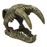Cráneo De Dientes De Sable Más Grande De Komodo