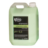 Shampoo Vitamimo Color Extra Acido X 5l Kleno 