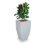 1 Vaso Planta Semente Artificial Margarida Pompom T 60x38 Cm