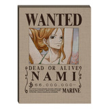 Cuadro Wanted Nami - One Piece - Gw041