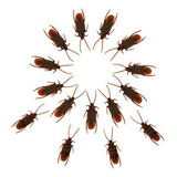 15 Piezas De Broma Falsa Cucarachas Modelo Bastante Esp...