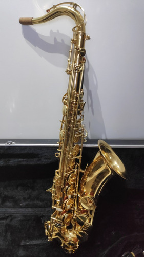 Saxofone Tenor Sib Maxtone Novíssimo Dourado Completo
