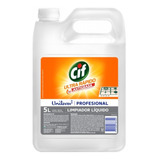 Cif Antigrasa Profesional Ultra Rápido Unilever 5 Lts