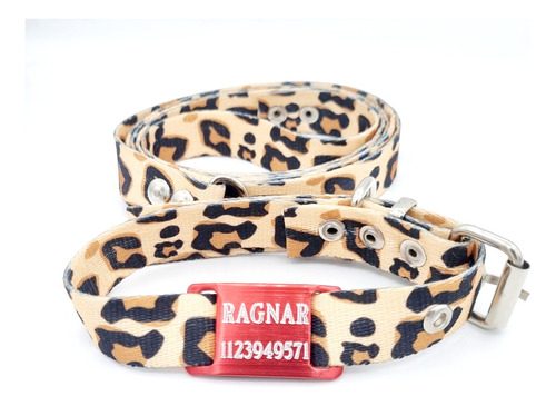 Chapita Perro Chico Negra+ Collar+correa  Animal Print 2cm 