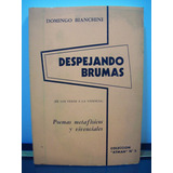Adp Despejando Brumas Domingo Bianchini / Ed Atman 1964 Bsas