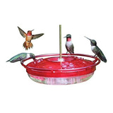 Cole's Hh03 Hummer High Rise Hummingbird Feeder