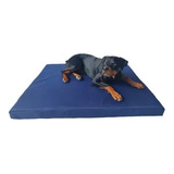 Cama Para Perro Mediana Impermeable 80x60x10cm Resistente