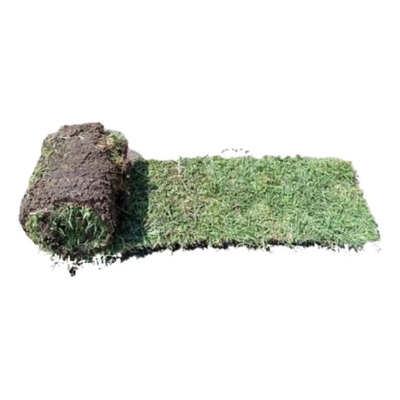 Pasto Natural En Rollo Tipo Cuernavaca M2 Solo Cdmx