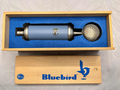 Microfone Condensador Bluebird