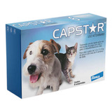 Capstar Antipulgas E Berne Cães/gatos 1,0 A 11,4kg  6 Comp