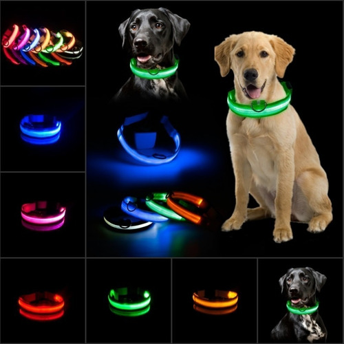 Collar Luz Led Para Mascota Perro/gato En 7 Colores 4 Talles