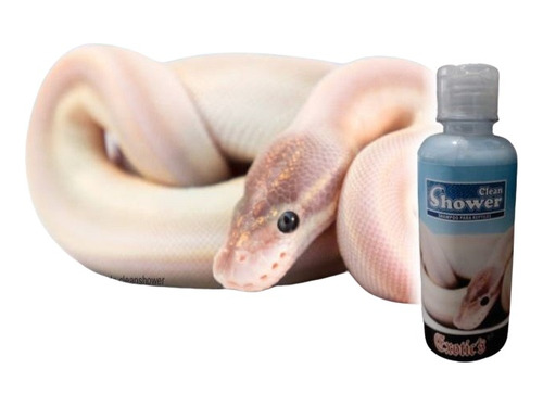 Shampoo Clean- Shower Para Reptiles Premium