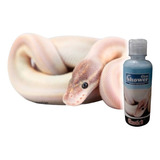 Shampoo Clean- Shower Para Reptiles Premium