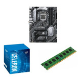 Combo Mineria Asus Prime B560-plus + Celeron G5905 + 8g