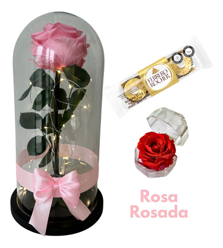 Rosa Preservada Alto 29cm + Luces + Ferrero + Mini Cofre