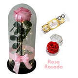 Rosa Preservada Alto 29cm + Luces + Ferrero + Mini Cofre