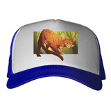 Gorra Gato Atigrado Naranja Ilustracion