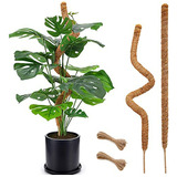 Palo De Musgo Flexible, Compatible Con Monstera, Plantas Tre