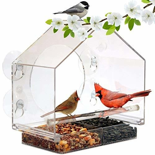 Comedero De Aves Con Ventosa Y Ventana Transparente