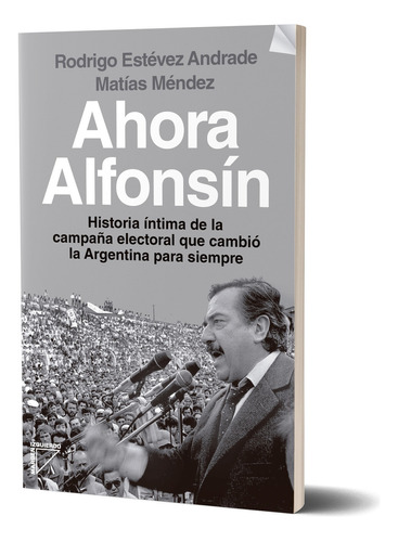 Ahora Alfonsín, De Matías Méndez Y Rodrigo Andrade. Serie N/a Editorial Margen Izquierdo, Tapa Blanda, Edición Nuevo En Español, 2023