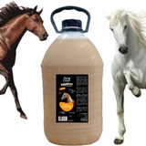 Shampoo Pra Cavalos Com Vitaminas Todas As Pelagens